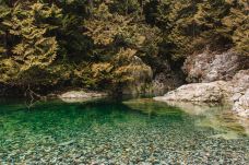 林恩峡谷公园-北温哥华