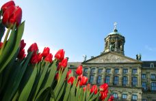 水坝广场-阿姆斯特丹