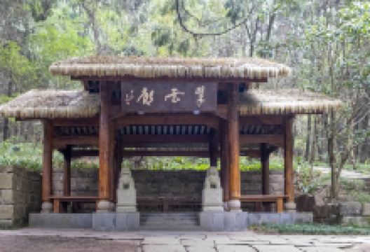 翠云廊景点图片