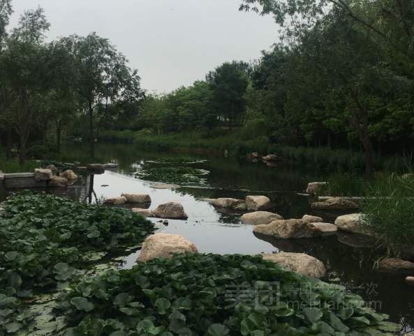 金水河公园旅行图片 1