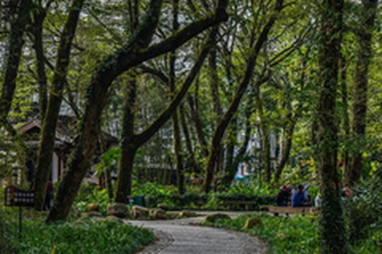 西递游记图片] 秘境里的皖南古村：比西递宏村幽静，似杭州西湖风光！