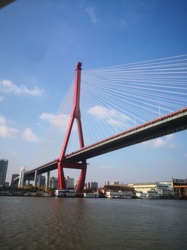 大桥公园旅行图片 1