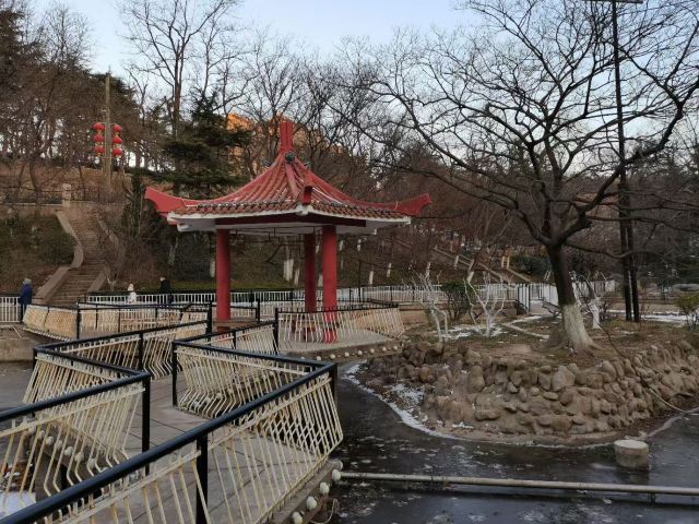 太平山旅行图片 5