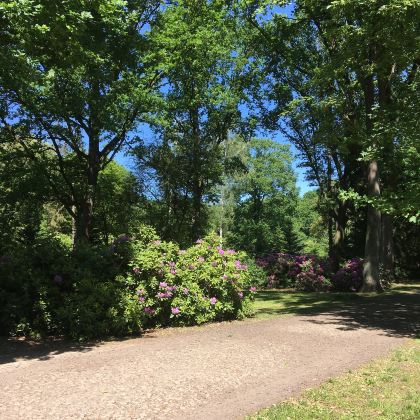 美国西雅图10日跟团游