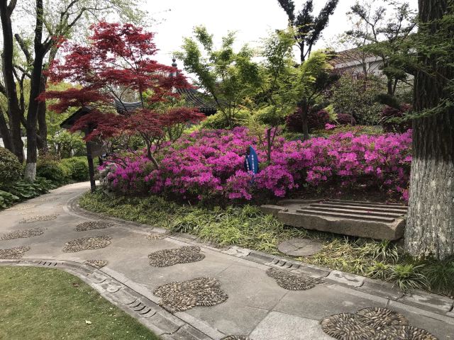 古藤园旅行图片 4