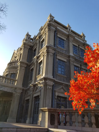 2021牛年春节的记忆