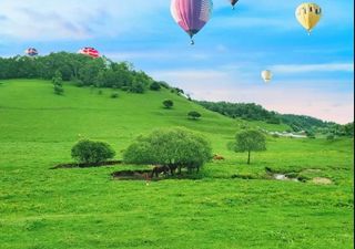 五一假期来关山,欢乐畅享在草原!