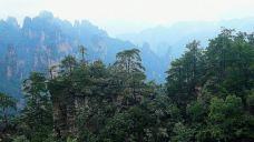 劈山救母-张家界-睡恣@M丶