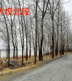 洪泽区游记图文-洪泽湖的古往今来-游记与访古
