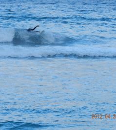 珀斯游记图文-勇敢者的游戏——旅拍国外儿童（4）