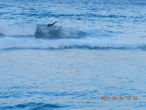 西澳大利亚游记图文-勇敢者的游戏——旅拍国外儿童（4）