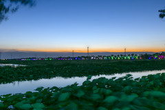 金湖游记图片] 金湖 | 清凉一“夏”，为“荷”而来