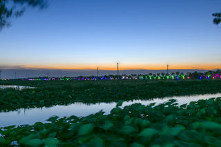 金湖 | 清凉一“夏”,为“荷”而来