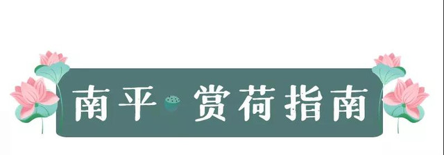 南平 | 赏荷指南:一起到藕花深处，采莲忘暑，清凉一夏吧~