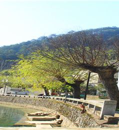 宣城游记图文-那一年，湘、黔、桂、鄂、皖自驾万里行，我在安徽宣城登敬亭山 ▏安徽宣城自驾游实用攻略 ▏2021年6