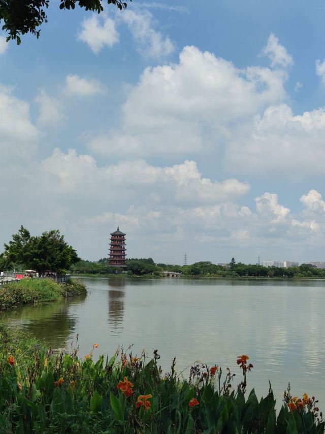 华阳湖国家湿地公园旅行图片 3