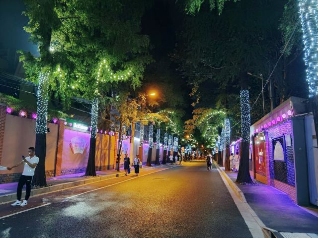 甜爱路旅行图片 3