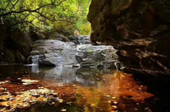 门头沟区游记图片] 万山红遍，层林尽染，北京双龙峡红了脸