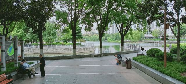 后襄河公园旅行图片 2