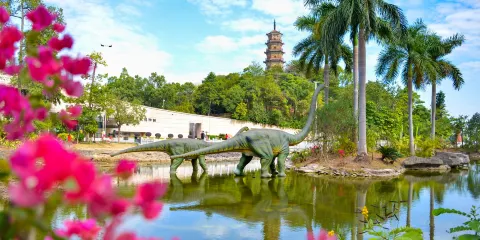 河源市博物館-龜峯塔