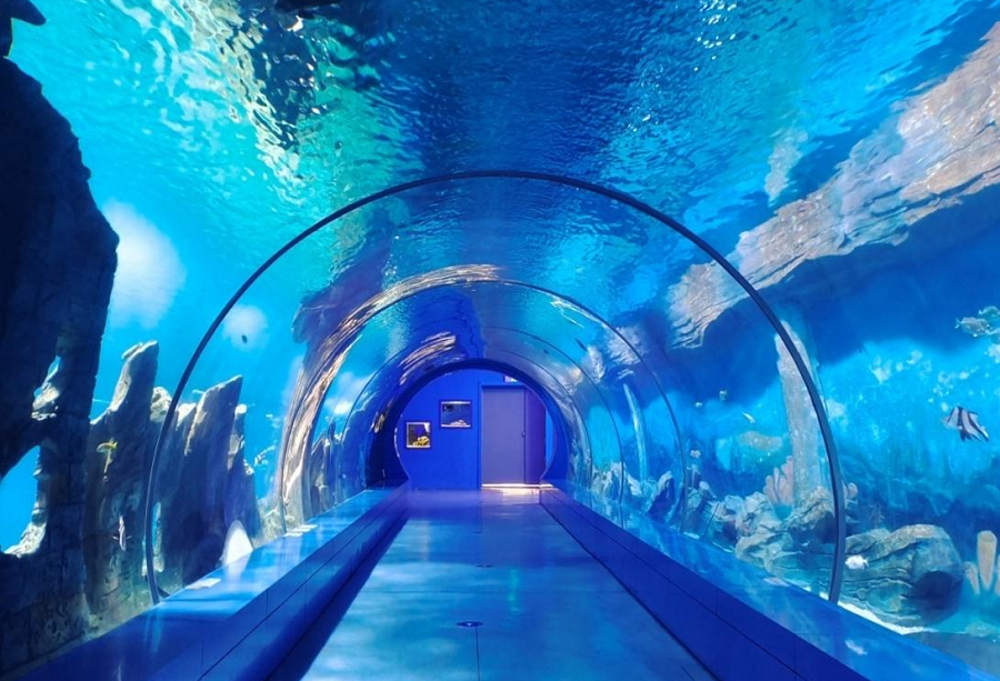 三峡海洋世界