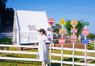 72小时玩转福鼎,采茶、登山、海岛、露营、美食旅行全攻略