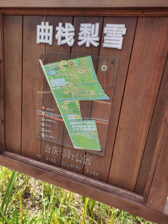 合庆郊野公园旅行图片 3
