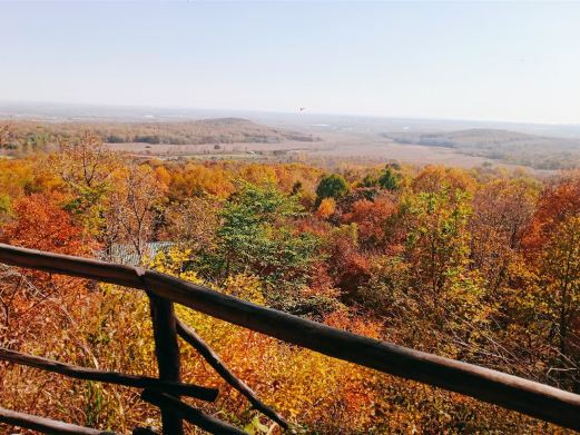 回龙山生态田园旅游区