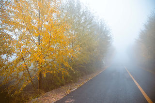秋天的青海湖，原野厚重丰满，草木微吟低唱，满身秋华