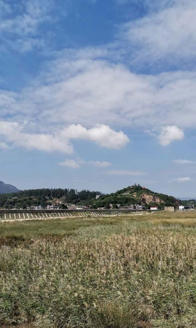 闽江河口国家湿地公园旅行图片 3