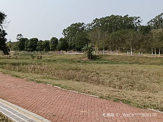 灵龟山生态公园