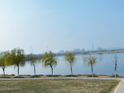 秦汉渭河湖泊湿地生态公园