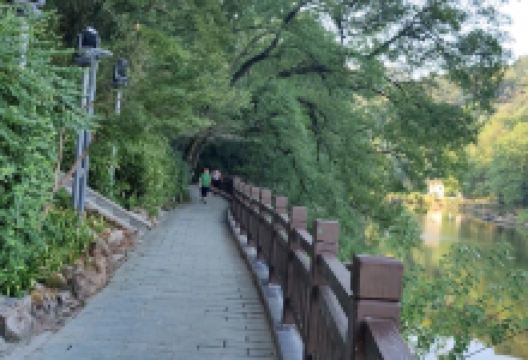 潜山国家森林公园景点图片
