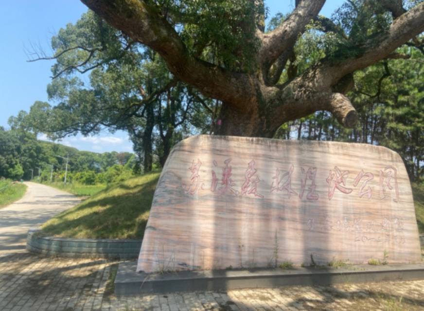 징강산 3일 투어: 홍색 역사와 자연 풍경, 몰입형 드라마 '스파크'