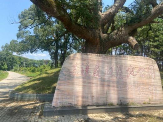 苏溪塘登森林湿地公园