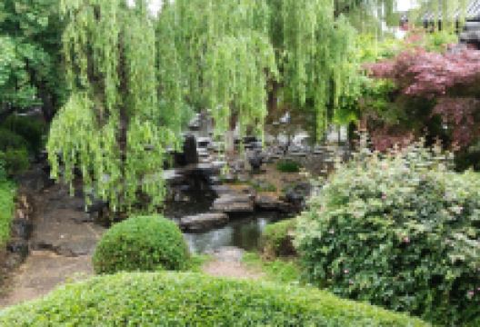 清龙寺景点图片