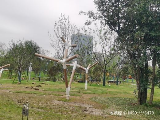 骆岗中央公园