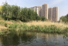 商中河湿地公园景点图片