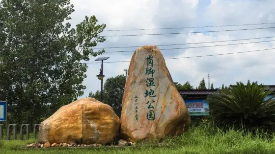崗腳濕地公園