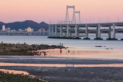 大连赶海