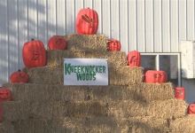 KneeKnocker Woods景点图片