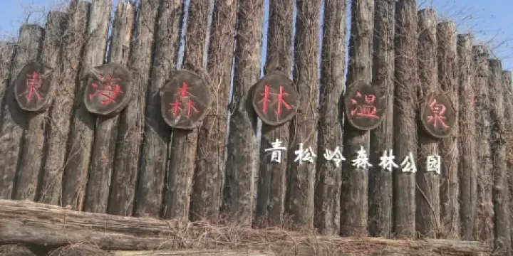 青松嶺森林公園-森林小屋