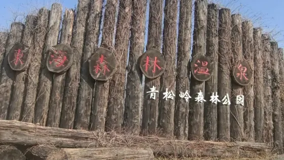 青松嶺森林公園-森林小屋