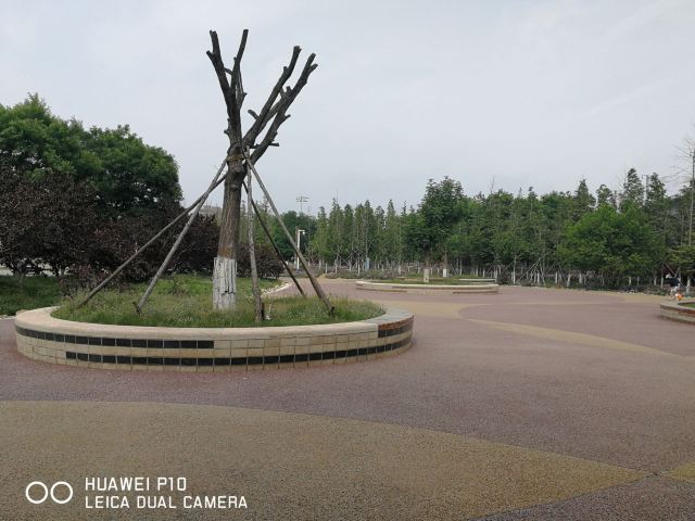 长兴岛体育公园旅行图片 2