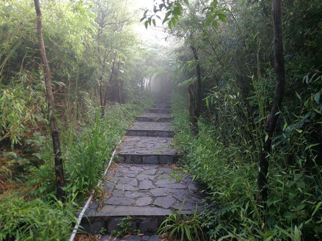 太阳山旅行图片 3