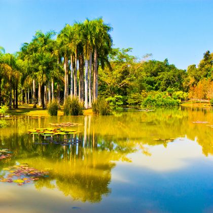 云南西双版纳4日3晚拼小团