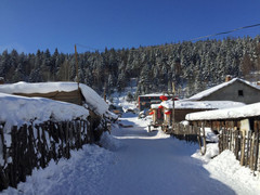 五常游记图片] 最仙儿的旅行，游走在哈尔滨、雪谷、雪乡的神仙日子