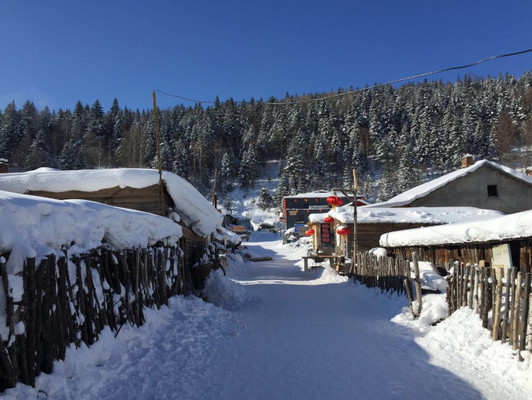 最仙儿的旅行,游走在哈尔滨、雪谷、雪乡的神仙日子
