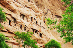旬邑游记图片] 陕西这个建在悬崖峭壁之上的村子，周边全是马蜂窝状的洞穴
