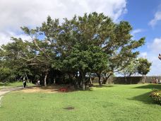 冲绳首里城公园-那霸-辰溪巴克